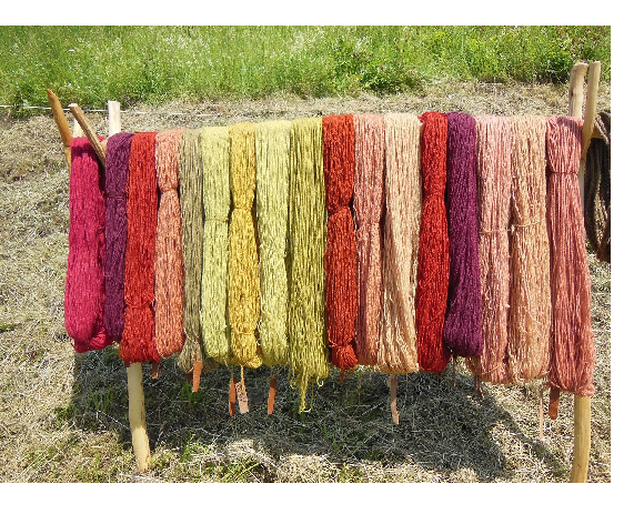 Wool Processing Scheme