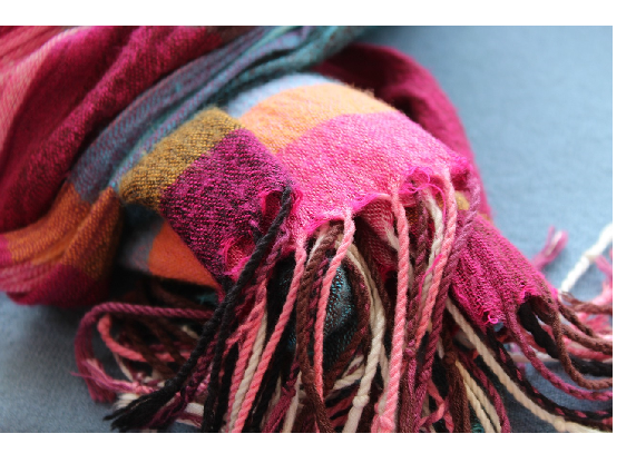 Pashmina Wool Development Scheme